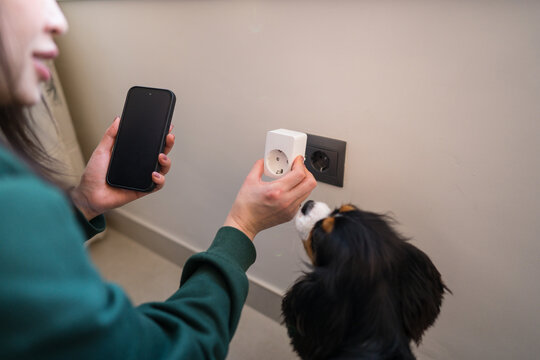 Smart home energy management and automation