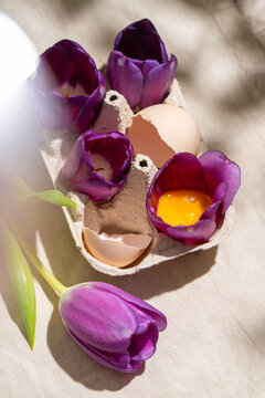 Purple tulips and egg in a creative easter display