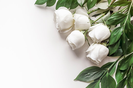 White roses and foliage on a white background