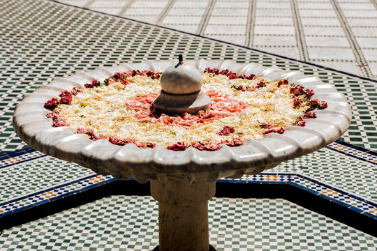 Bed of roses in a Moroccan water fountain
