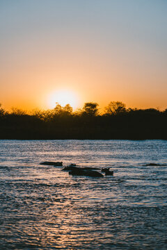 Beautiful sunset over a river in Namibia with hippos