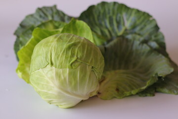 Fototapeta premium Fresh Green Cabbage with Outer Leaves on White Background