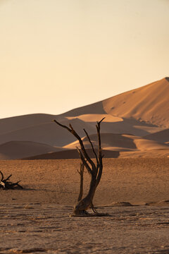 Striking landscape of Deadvlei with desert dunes