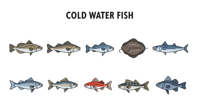 Ten distinct illustrations of various cold water fish arranged in two rows