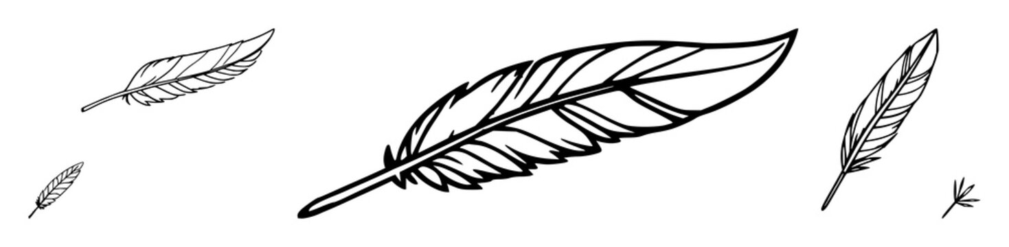 Feather set with stylized feather icons against a white background featuring bold line art, single color, minimalist shapes with logo and vector illustration