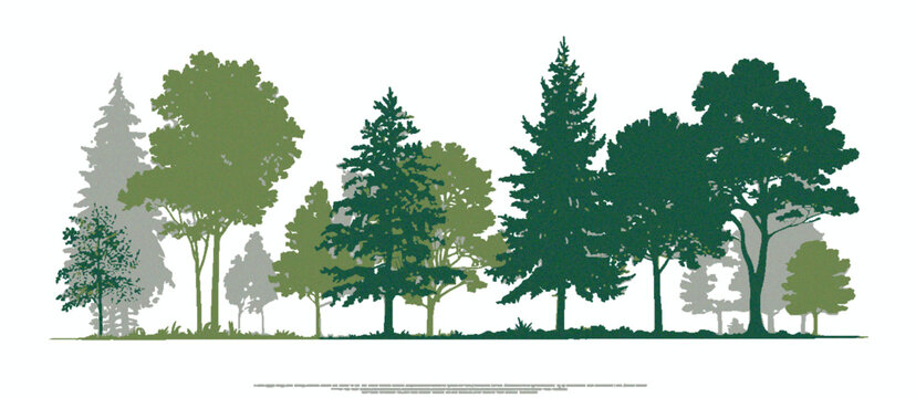 Evergreen Pine Trees Side View Seamless Border with Forest Silhouette Design, Green Shadow Vector Illustration for Landscape Architecture, Tree Cutout Style Woodland Layout, Natural Border Elements fo