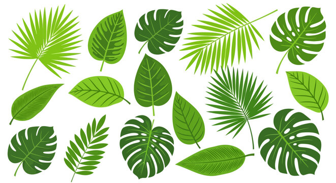 Collection of various tropical green leaves.