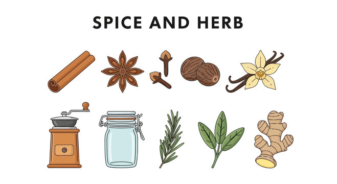 Illustration of various spices herbs and kitchen tools on a white background