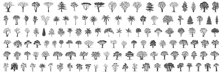 Adobe Illustrator Minimal CAD Tree Line Drawing with Tropical and Oak Trees, Side View Outline Symbols for Architecture and Landscape Design, Clean Minimal Style Vector Illustration with Stroke and Wh © YET FAR 