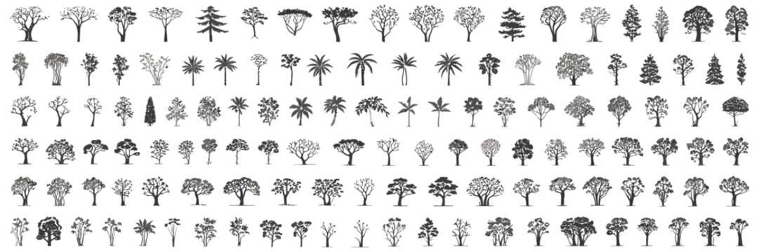 Adobe Illustrator Minimal CAD Tree Line Drawing with Tropical and Oak Trees, Side View Outline Symbols for Architecture and Landscape Design, Clean Minimal Style Vector Illustration with Stroke and Wh