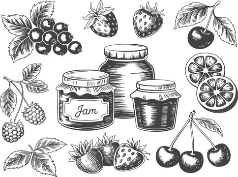 Vintage hand drawn fruit jam jars, berries and citrus sketches, organic food vector illustration set