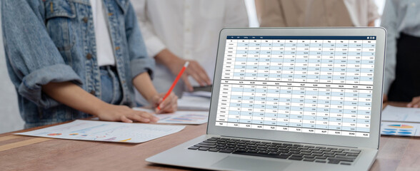 Accounting software on computer screen showing financial statement spreadsheets and account balance...