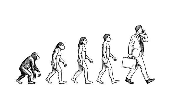 Human evolution from monkey to modern businessman talking on phone sketch vector