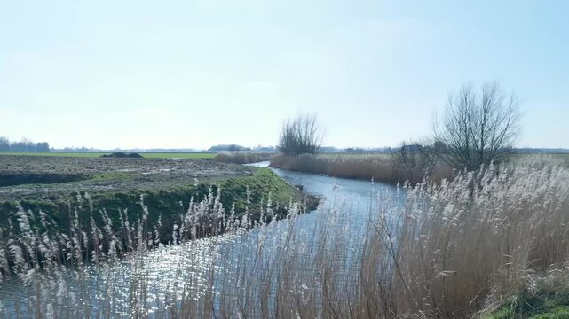 People walking along a tranquil ditch in the dutch polder landscape