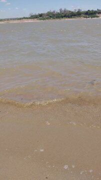 Sandy river and lake shore shoreline with gentle waves lapping sandy beach and mud sunny cloudy sky, shimmering water, distant trees along river shore