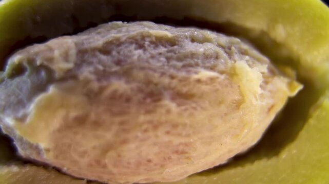 Macro of green Olive (Olea europaea) with exposed textured pit (stone), botanical anatomy of the drupe core, 360 rotating