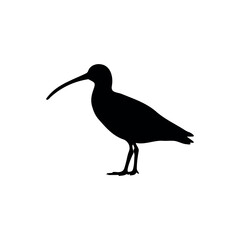 Obraz premium Curlew bird silhouette icon vector illustration on white background