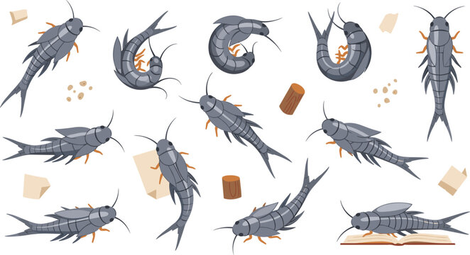 Collection of silverfish insect vector illustrations in different poses featuring pest control themes with paper and book elements for educational and household designs.