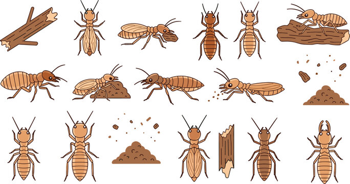 Termite Insect Pest Control Vector Icon Set Featuring Worker Termites Wood Damage Colony Hills and Infestation Symbols for Professional Exterminator Services and Educational Entomology