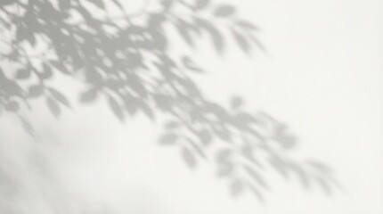 Obraz premium Abstract dappled light shadow overlay from tree foliage 