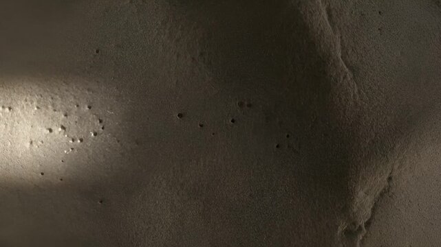 Pale limestone quarry-wall background with drifting surface brightness across layered fossil-marked stone