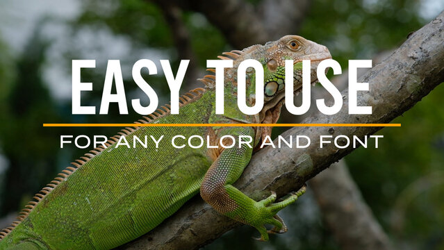 Typography Modern Titles Vol.04