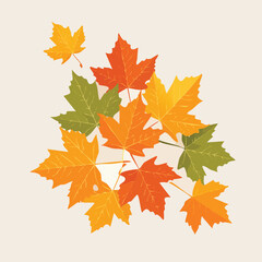 Fototapeta premium Colorful autumn maple leaves in vector graphic style on neutral background