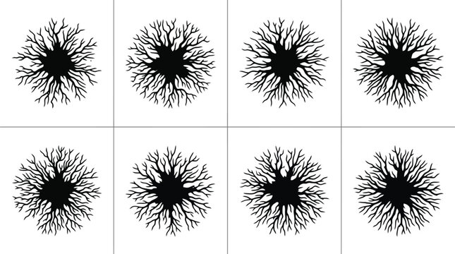 Ocho patrones abstractos en blanco y negro con estructuras dendr&iacute;ticas y ramificadas.