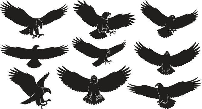A collection of black silhouettes of eagles in various flying positions on a white background