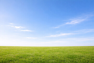 Obraz premium Wide Green Meadow Under Bright Blue Sky with Large Copy Space