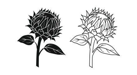 Two sunflower heads and leaves in a striking black silhouette © Rina