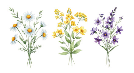 Fototapeta premium Watercolor flowers bouquet isolated on transparent background