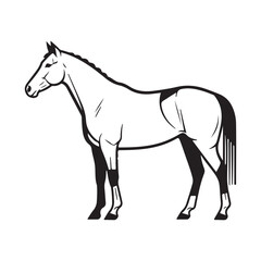 Obraz premium A drawing of a horse's head and neck