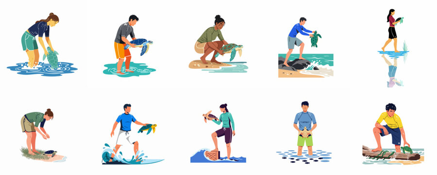 Collection of flat vector illustrations depicting volunteers and environmentalists releasing sea turtles into the ocean to promote marine wildlife conservation.