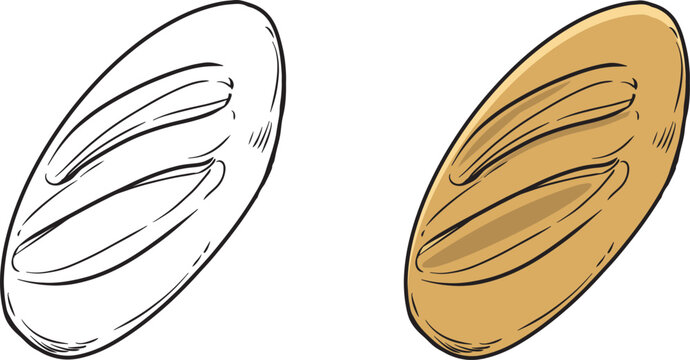 vector drawing of plain bread. baguette cartoon