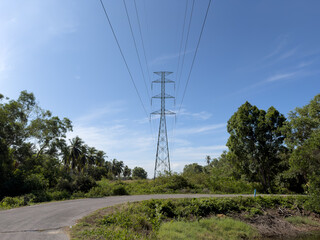 Obraz premium Electric Tower Surrounded by Lush Vegetation, Location Unknown