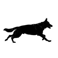 Fototapeta premium A black silhouette of a dog running isolated on transparent background
