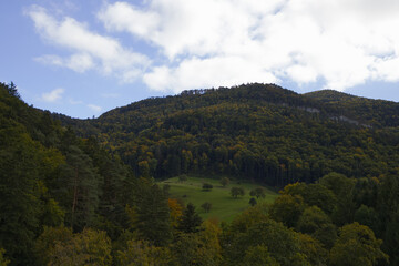 Hiking in the forest autumn time 