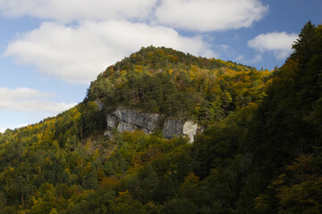 Fototapeta premium Hiking in the forest autumn time 