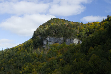 Obraz premium Hiking in the forest autumn time 