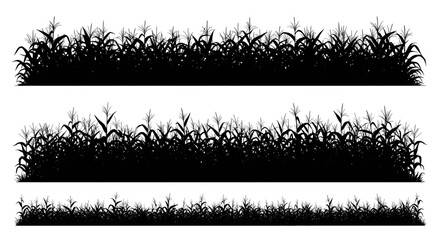 Black silhouette illustrations of dense corn field rows arranged in three horizontal landscape bands © Mamun
