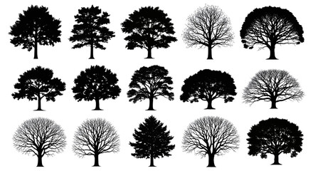A collection of fifteen diverse tree silhouettes featuring various species and seasonal conditions © Mamun