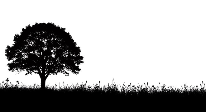 A detailed silhouette of a large deciduous tree standing in a lush field of grass and wildflowers