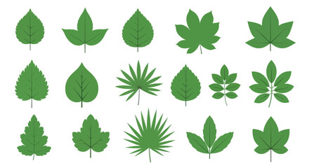 Obraz premium Nature Botany Flat Design Vector Leaves Icons Set - Diverse Plant Foliage Collection