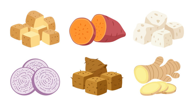 Flat Illustration of Fresh Root Vegetables and Tuber Ingredients