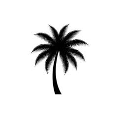 Fototapeta premium A black silhouette of a palm tree against a white background isolated on transparent background