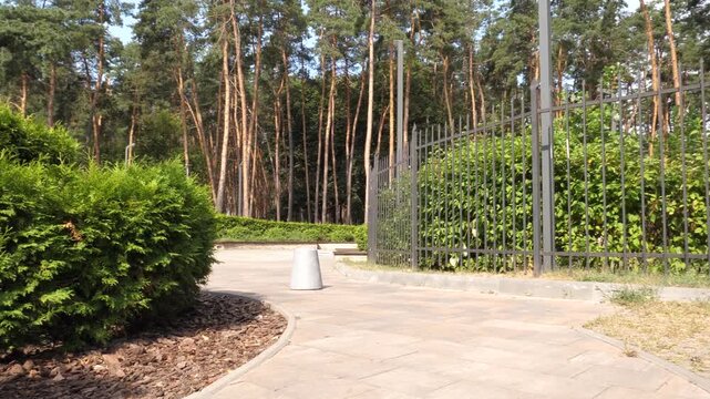 A decorative fir flowerbed near the entrance to the city park, enclosed by a metal fence. Panoramic video of the city botanical garden in 4K resolution
