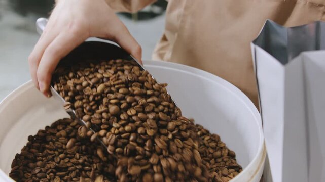 Barista pours coffee beans into a bag at the artisan cafe during the morning rush for fresh brewing