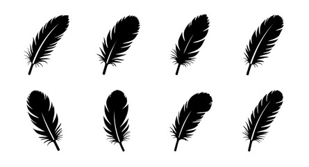 feather, feathers, plume, plumes, quill, quills, wing, wings, bird, avian, nature, light, soft, fluffy, floating, falling, fly, flying, silhouette, silhouettes, shadow, black, outline, shape, icon, sy