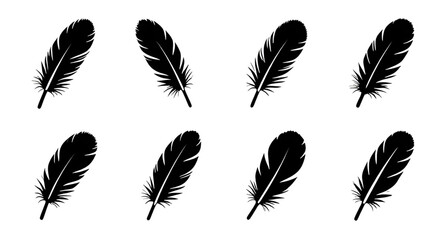 feather, feathers, plume, plumes, quill, quills, wing, wings, bird, avian, nature, light, soft, fluffy, floating, falling, fly, flying, silhouette, silhouettes, shadow, black, outline, shape, icon, sy